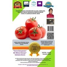 Volkan Ziraat Mühendislik Bahçecilik Domates Yetiştiriciliği Eğitim Kursu Kitabı 3 Hediye Farklı E Kitap Emaıl Gönderimi