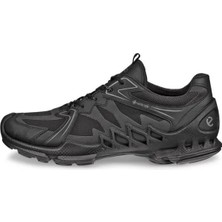 Ecco Biom Aex