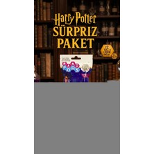Nuveden Harry Potter Temalı Koleksiyonluk Sürpriz Figür Seti 2'li Paket