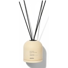 olailon Concarte Mango Kokulu Oda Kokusu | 50 ml | Çubuklu | Sarı Renk | Dekoratif & Modern Tasarım
