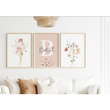 Hepta Collection 3' - - - CCKK001 (, 30X42)