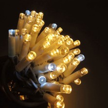 Hepta Collection 10M 100L