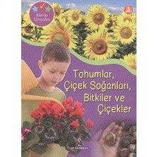 Hepta Collection Tanışalım - Soğanları