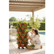 Hepta Collection Katlı