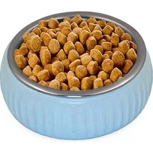 SHC4200 Mikopet Organik Seramik Mama Kabı