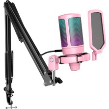 Hepta Collection , Bilgisayarı , Podcasting, Şarkı Söyleme, Youtube, Kondenser Kardioid , DÜĞMESI-A6T