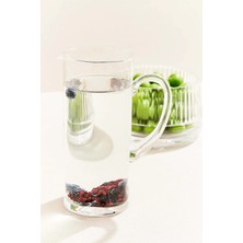 Paşabahçe Dıp Sıkmalı Kana 2 L - 1 Adet