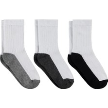 3171 Civil Boys Basic Taban 3'lü 2-12 Yaş Erkek Soket Çorap - Standart 12-13 Yaş