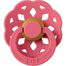 Timion URT005-01 Birliktoys, Kurmalı Ördek