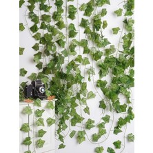 Mucit Home Yapay Sarmaşık 12'li Uzunluk 2 Metre 30CM – Yapay Çiçek , Masa Süsü, Arka Fon