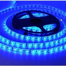 Fully Tek Çipli Iç Mekan Mavi Silikonsuz 12V Şerit LED 5mt (5 Adet)