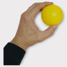 Oska Global Köpek Oyuncağı - Plastik Düdüklü Top - Sarı (Lisinya)