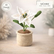 Saksıda Zambak Hediyelik %100 Pamuklu Organik Amigurumi Örgü Doğumgünü Hediye