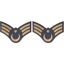 TİM42 Asayiş Tpu Jandarma Astsubay Kıdemli Çavuş Rütbe