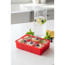 EW's Kitchenware 6 Hazneli Silikon Buz Kalıbı & Çok Amaçlı Buzluk ve Dondurucu Organizeri 11X16 cm