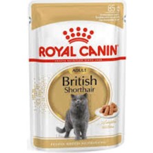 Royal Canin British Shorthair Irkına Özel Pouch Yaş Kedi Maması 85 gr