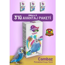 Bird Food Energy Cambaz Muhabbet Kuşu Yemi 250 G - 3 Adet
