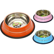 Ashwork 24 Oz. KE-3204PS Flip Renkli Şeritli Mama Kabı 587455