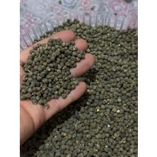 Bahçede Bamya Sultani Tohumu 500 gr