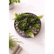 Aşkana 3’lü Yapay Sukulent Çiçek Seti Saksılı Dekoratif Yapay Bitki Ev Ofis Masa Üstü Gerçek Görünümlü