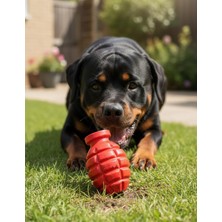 Petza Köpek Vinil Oyuncak BarkBomb