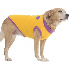 Petza Köpek Sweater Blazion Sarı