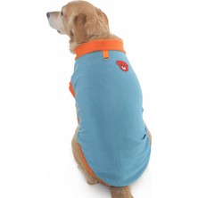 Petza Köpek Sweater Blazion Turkuaz
