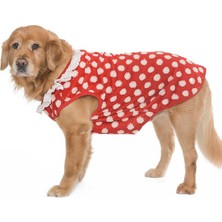 Petza Köpek Sweater SnugDot Orta ve Büyük Irk Köpekler için