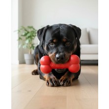 Petza Köpek Vinil Oyuncak Kemik Bonza