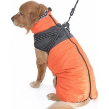 Petza Köpek Mont Flarex Tasmalı