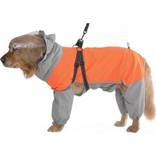 Petza Köpek Paçalı Yağmurluk Canora Göğüs Tasmalı ve Siperli