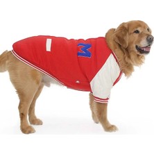 Petza Köpek Sweatshirt Bark Yankees