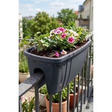 Effe Home Dekoratif Balkon Korkuluk Saksısı