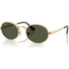 Ray-Ban Rb 3931 001/31 54 Güneş Gözlüğü