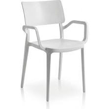 Çavdar Group Zen Cafe Kollu Koltuk 1 Adet Cafe Balkon Bahçe Sandalyesi