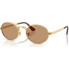 Ray-Ban Rb 3931 001/53 54 Güneş Gözlüğü