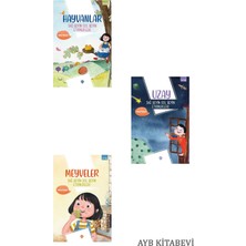 Türkiye Diyanet Vakfı Yayınları Sağ Beyin Sol Beyin Etkinlikleri 3 Kitap-Hayvanlar-Meyveler-Uzay -Tdv-Gül Nihal Özkan