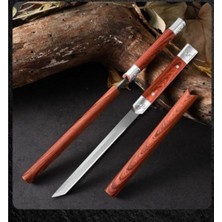 Alpargos Japan M390 Tanto Mini Bıçak A0023 22 cm