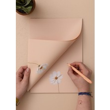 The Mia Art Line Mini Notluk Cosmea 21X30CM 40 Yaprak