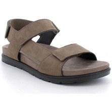 Erkek Sandalet 1137722 Igı&co Ufk 11377  Fussb.vıtello Safari