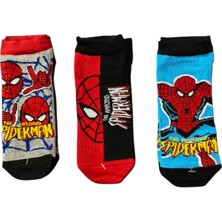 Marvel Spiderman Lisanslı Erkek Çocuk 3lü Patik Çorap