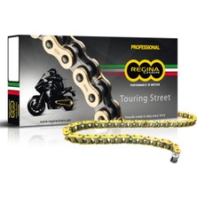 Regina Zincir 520 - 135 Rt 120 Link