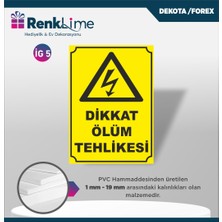 Renklime Dekota Ikaz Levhası - Dikkat Ölüm Tehlikesi