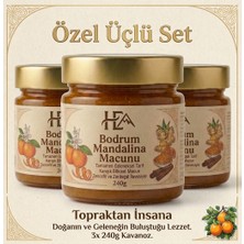 HERDEN 3 Kavanoz Bodrum Mandalina Macunu | Zencefil, Zerdeçal, Havlıcan, Nane, Kekik, Okaliptus Yağı Içeren Macun 3X240 gr