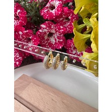 Ebru Çitak Gold 3'lü Zirkon Taşlı Küpe