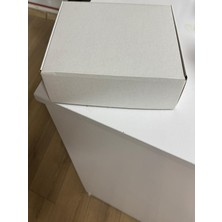 Barışkan Koliler 0-1 Desi 13X9X6X  20 Adet