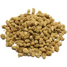 Glutensiz Dut Kurusu