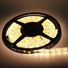 Cata CT-4538G 240 Çipli Şerit LED Iç Mekan Daha Iyi Aydınlatma  (Günışığı) 5 Metre