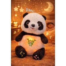 DMR Accessoire Nesef Alan Sevimli Uyku Arkadaşı Panda Işıklı ve Müzikli