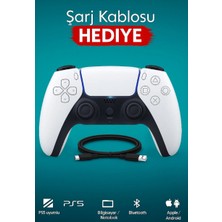 Ergin Group Ps 5 Dualsense Pc Playstation 5 Ps5 Uyumlu Titreşimli Oyun Kolu Muadil Logosuz
